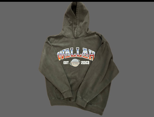 UNIVERSITY HOODIES