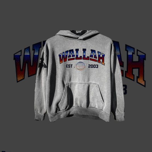 UNIVERSITY HOODIE