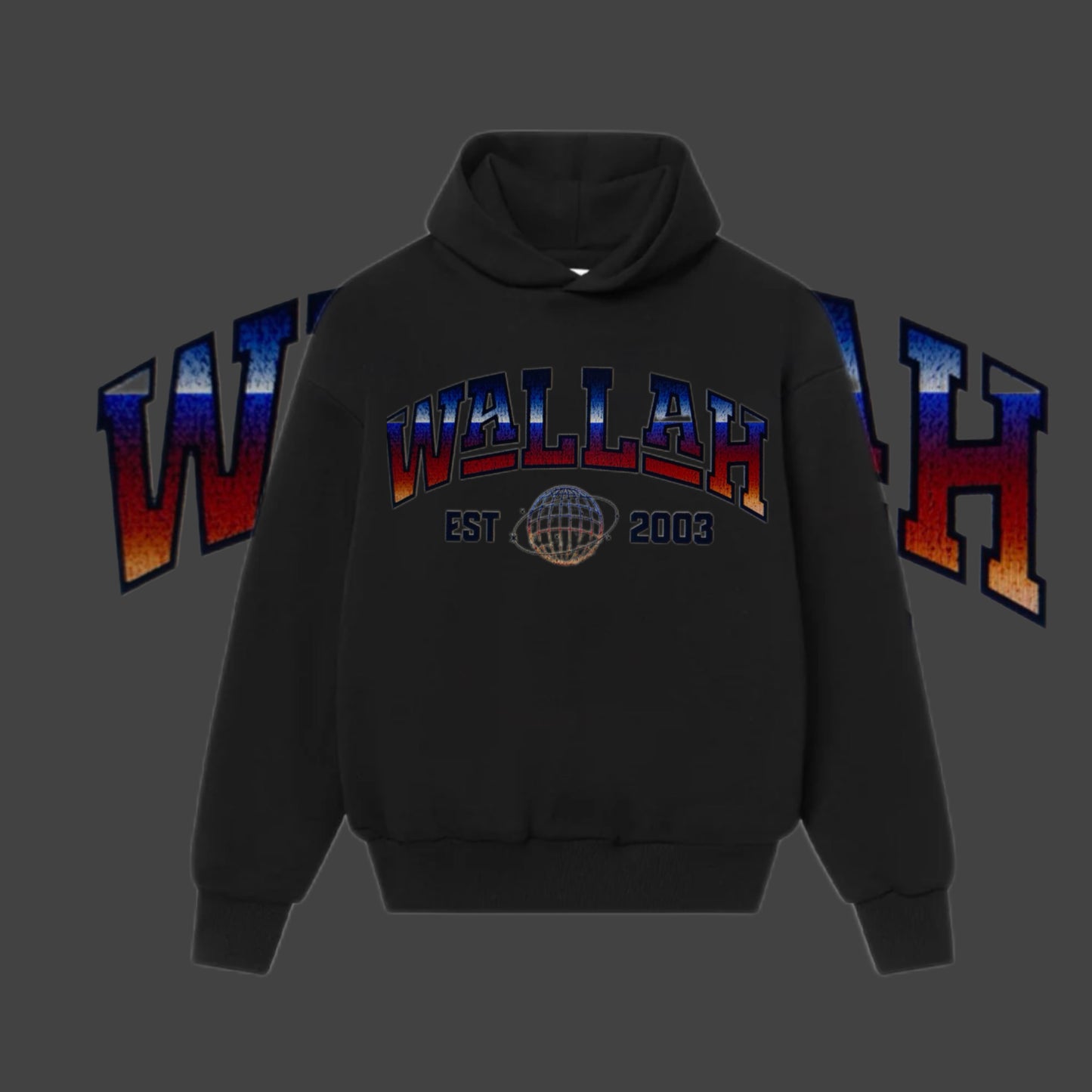 UNIVERSITY HOODIE
